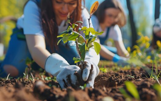 Descubre cómo la reforestación urbana incrementa la plusvalía de una zona, mejora la calidad de vida y se convierte en factor para invertir en bienes raíces.