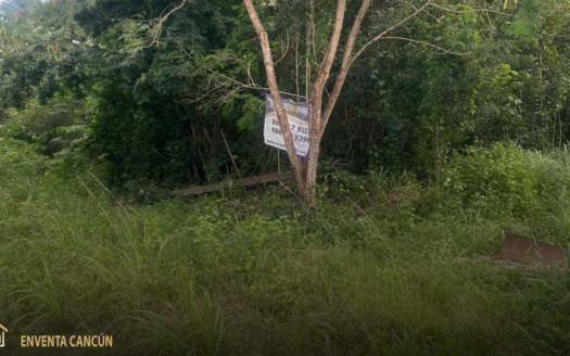 Terreno en SM 307 Cancún: 833m², a 2 cuadras de Av. Colegios. Papeles en regla, ideal para invertir por solo $2.4M MXN.