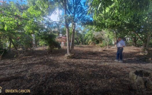 Terreno en Ejido Bonfil de 4,090 m². Incluye 3 pozos, árboles frutales y base para alberca. ¡Tu casa de campo por solo $2M MXN cerca de la Huayacán!